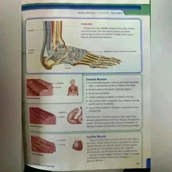 Southwestern Advantage Text Books for High School, Honors, and College Prep - Picture 9 of 13
